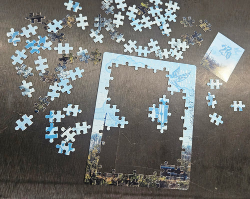 "270" 7.87"×9.84"-120pcs Puzzle.Art by Seaborn Designs.